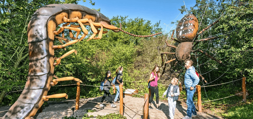 Celodenní vstup do Fajnparku: zábavní areál s atrakcemi pro celou rodinu