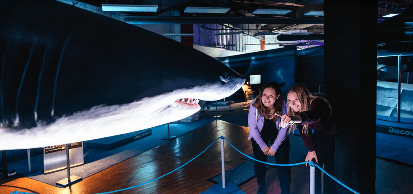 Vstupy na výstavu Obři oceánů v OC Westfield na Černém Mostě