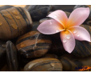Havajská masáž LOMI LOMI | Adrop