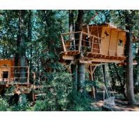 Ubytování v Tree House | Firmanazazitky.cz