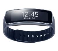 Samsung Galaxy Gear Fit + 16 GB Micro SD | Eldum.cz