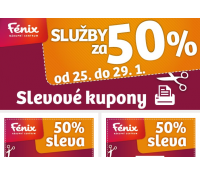 Služby (čistírna, myčka aut, kadeřnictví)  | NCFenix.cz