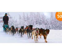 Jízda se psím spřežením, mushing | Hyperslevy